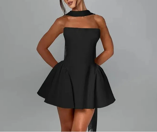 Sexy Tube Top Dress With Back Zipper Short Dress